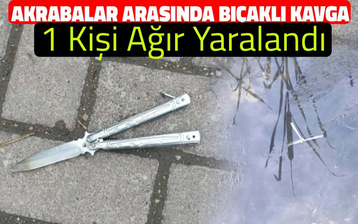Akrabalar arasında kavga: 1 ağır yaralı, 1 tutuklu