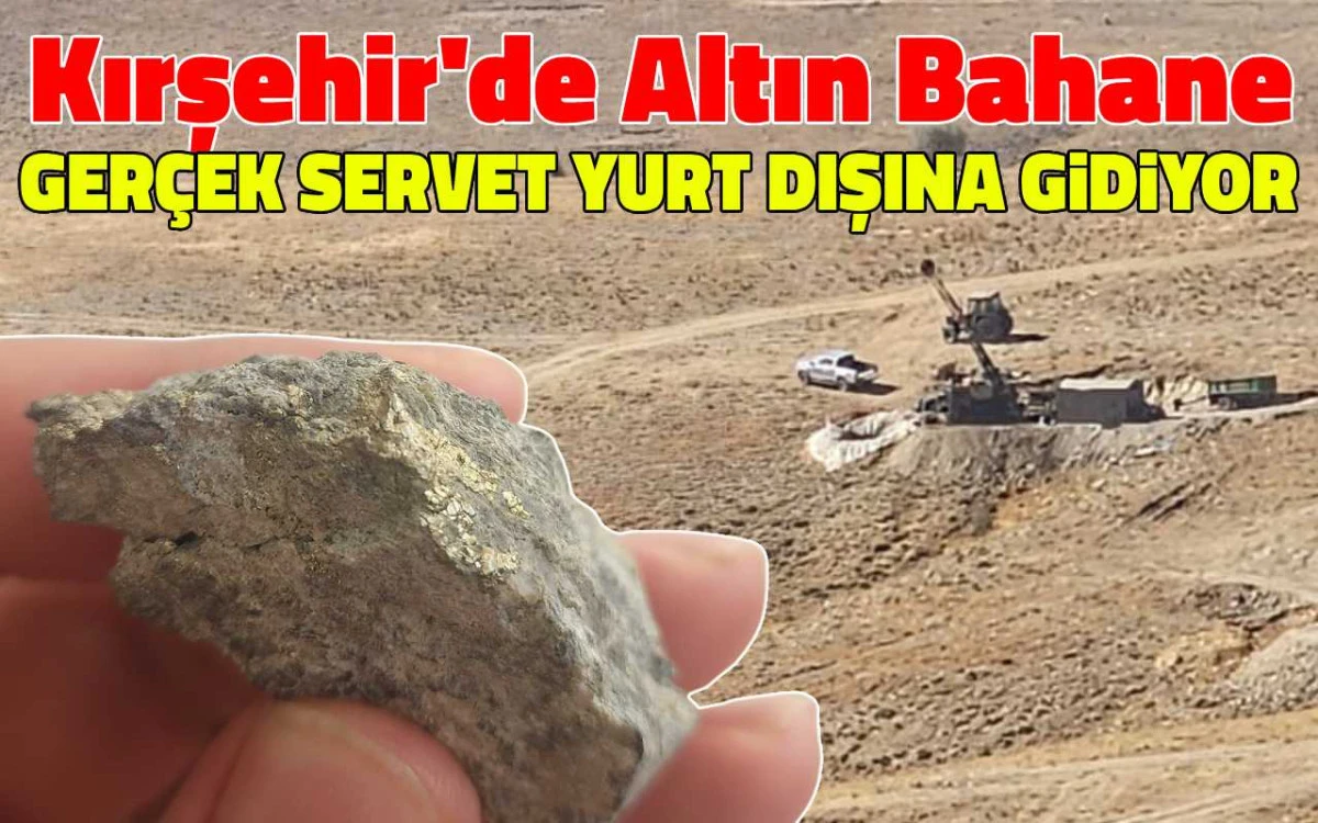 Altın bahane: Nadir elementlerin değeri katbekat fazla