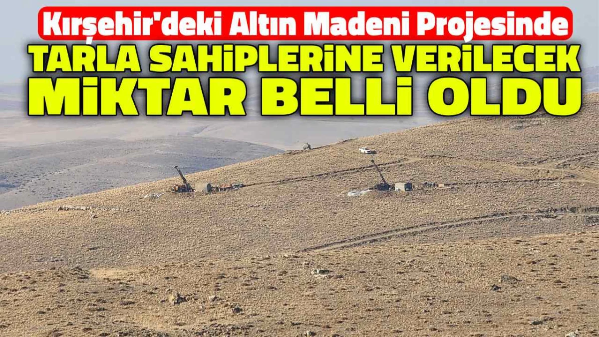 Altın madeni projesinde tarım arazilerine biçilen miktar belli oldu