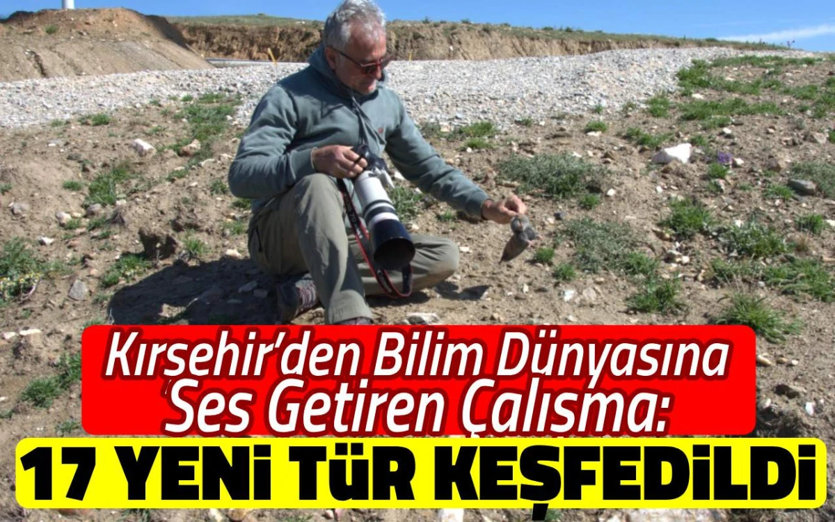 Anadolu&rsquo;nun biyolojik hazinesi b&uuml;y&uuml;yor: 17 yeni endemik t&uuml;r keşfedildi