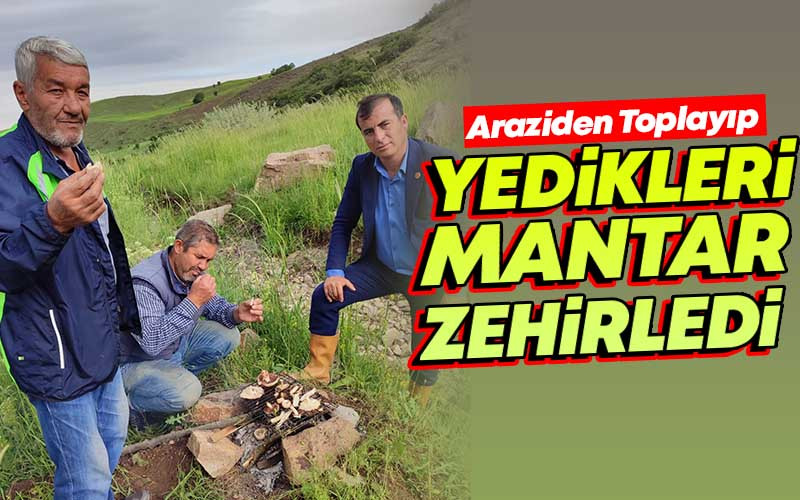 Araziden Toplayıp Yedikleri Mantar Zehirledi