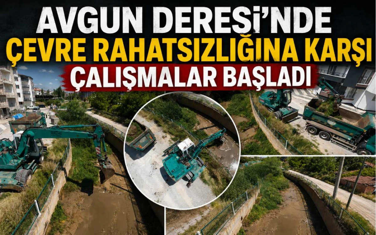 Avgun Deresi'nde &ccedil;evre rahatsızlığına karşı &ccedil;alışmalar başladı