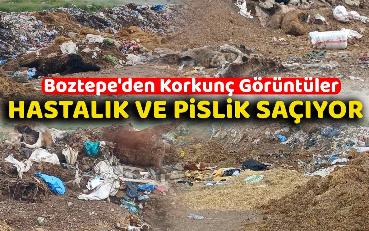Çöp toplama alanı salgın tehdidi oluşturuyor