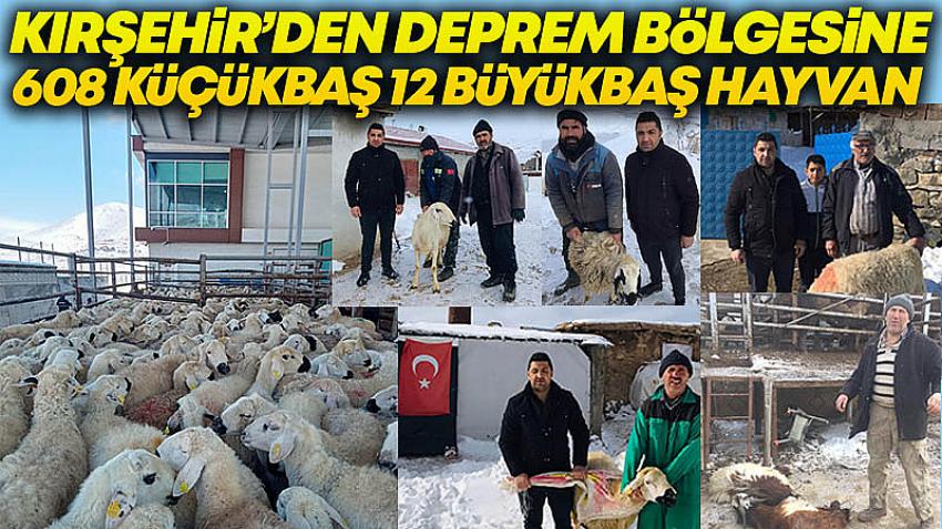 Kırşehir'den Deprem Bölgesi'ne 608 Küçükbaş 12 Büyükbaş