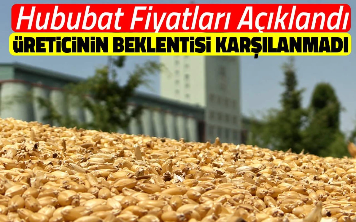 Hububat fiyatları a&ccedil;ıklandı, &uuml;reticinin beklentisi karşılanmadı