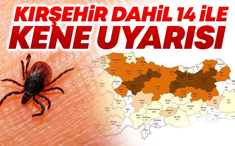 Kırşehir Dahil 14 İle Kene Uyarısı