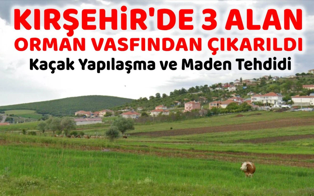 Kırşehir'de 3 alan orman vasfından çıkarıldı