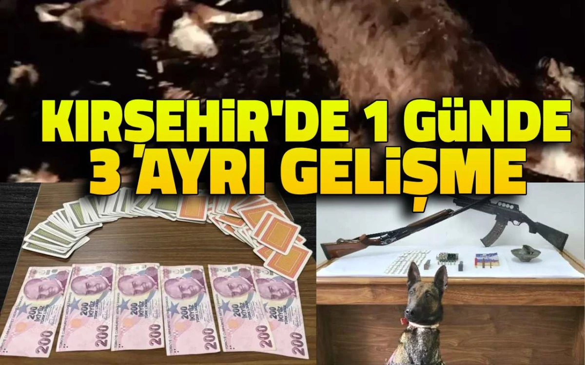 Kırşehir&rsquo;de bir g&uuml;nde &uuml;&ccedil; ayrı gelişme