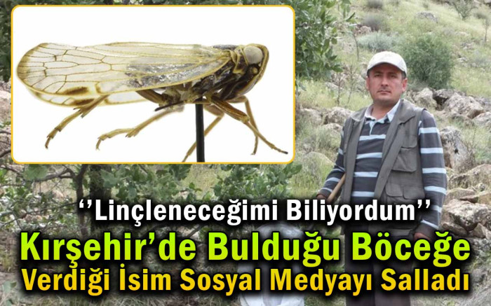 Kırşehir'de bulduğu böceğe verdiği isim sosyal medyayı salladı