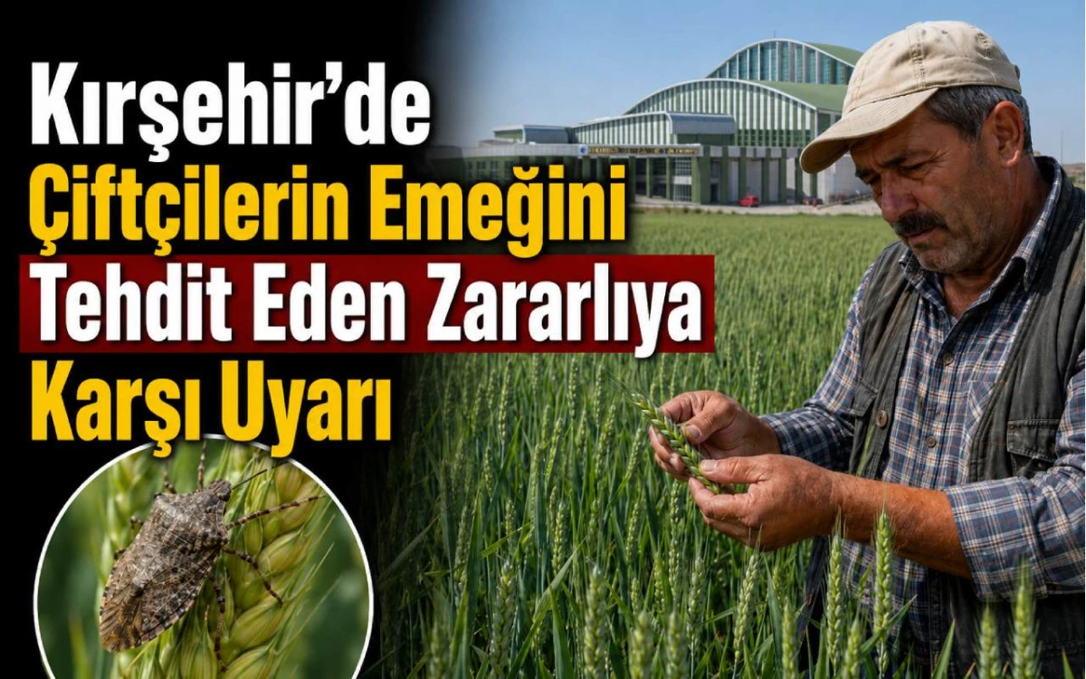 Kırşehir&rsquo;de &ccedil;ift&ccedil;ilerin emeğini tehdit eden zararlıya karşı uyarı