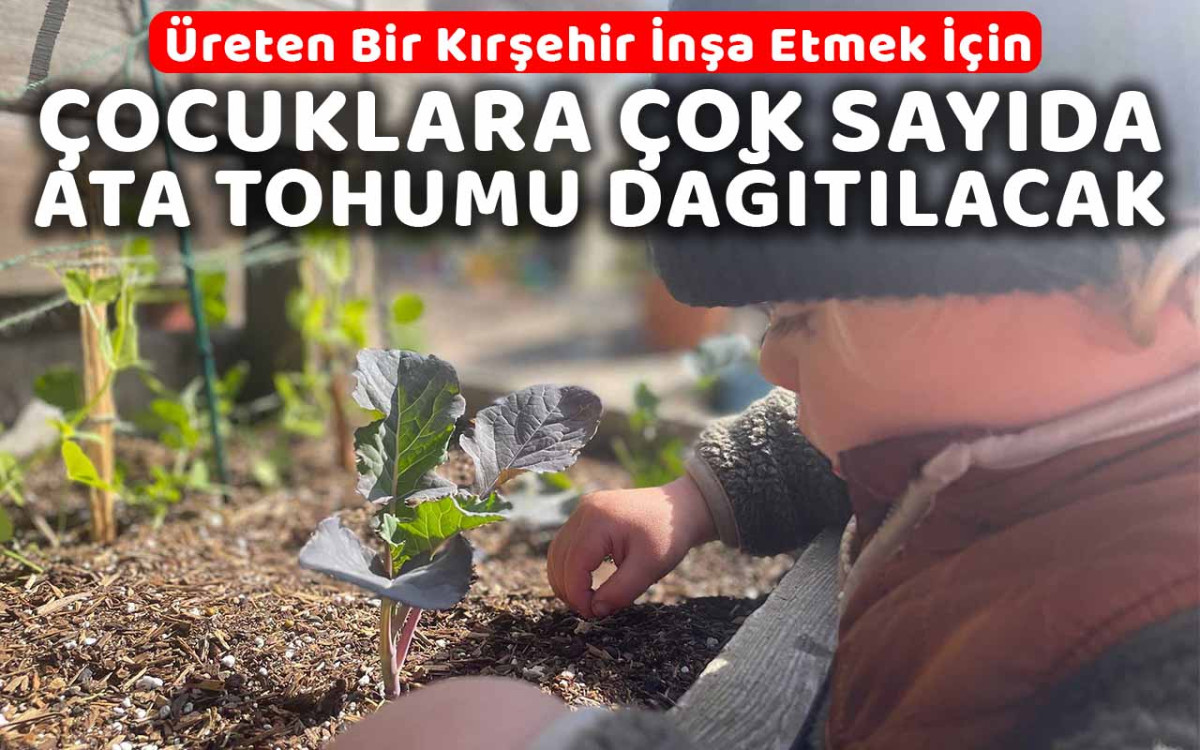 Kırşehir'de çocuklara ata tohumu dağıtılacak