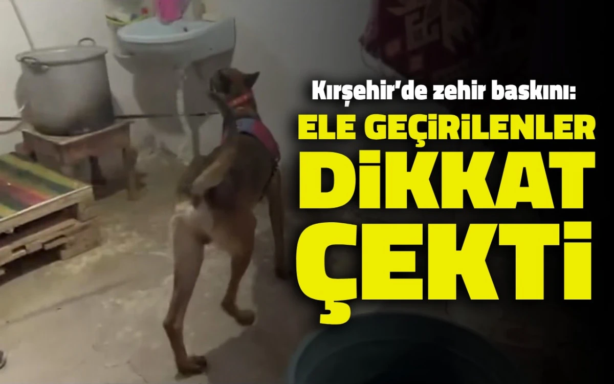 Kırşehir’de jandarmadan narkotik darbesi: Şüpheli tutuklandı