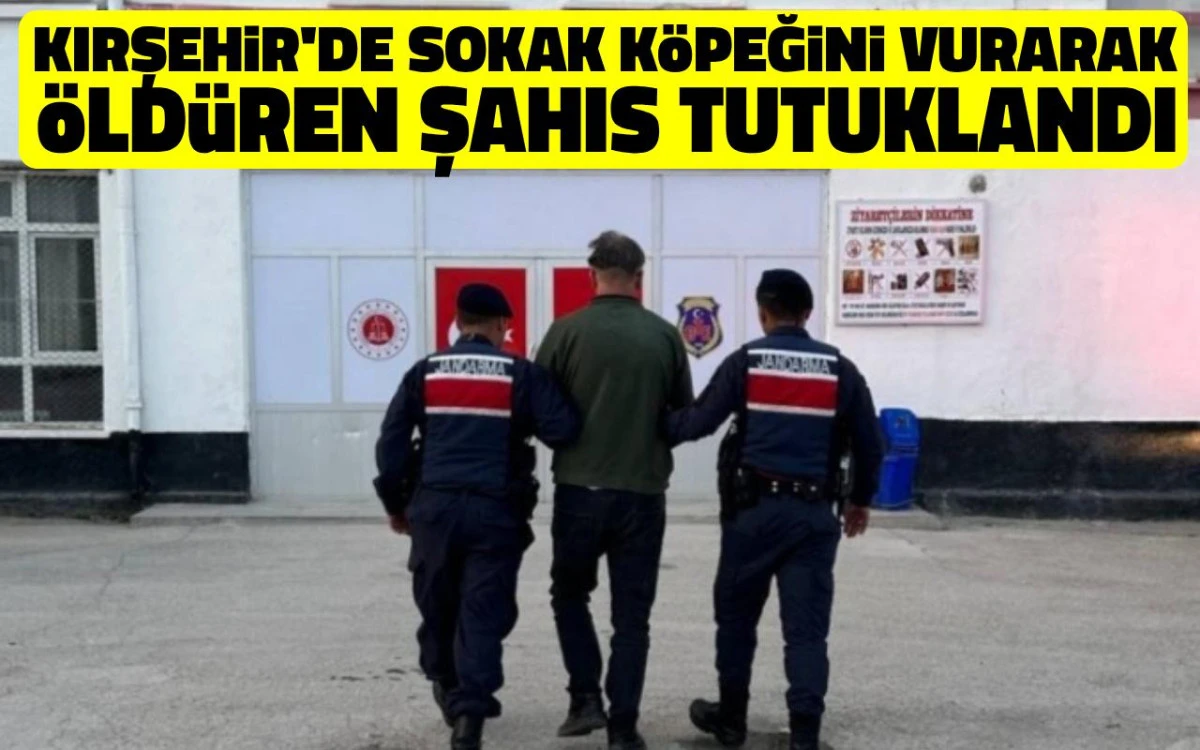 Kırşehir&rsquo;de k&ouml;peği t&uuml;fekle vuran şahıs tutuklandı