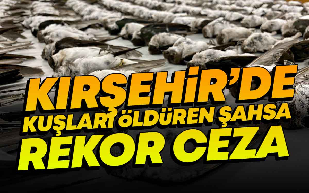 Kırşehir'de Kuşları Öldüren Şahsa Rekor Ceza