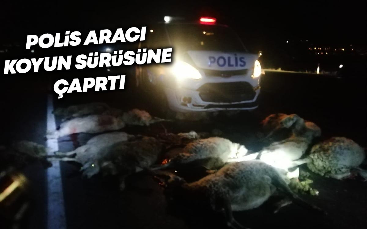 Kırşehir'de Polis Aracı Koyun Sürüsüne Çarptı