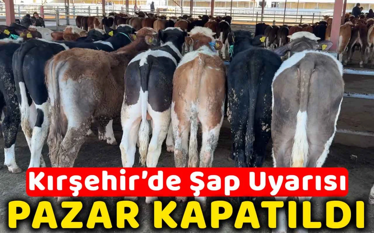 Kırşehir'de şap uyarısı: pazar kapatıldı
