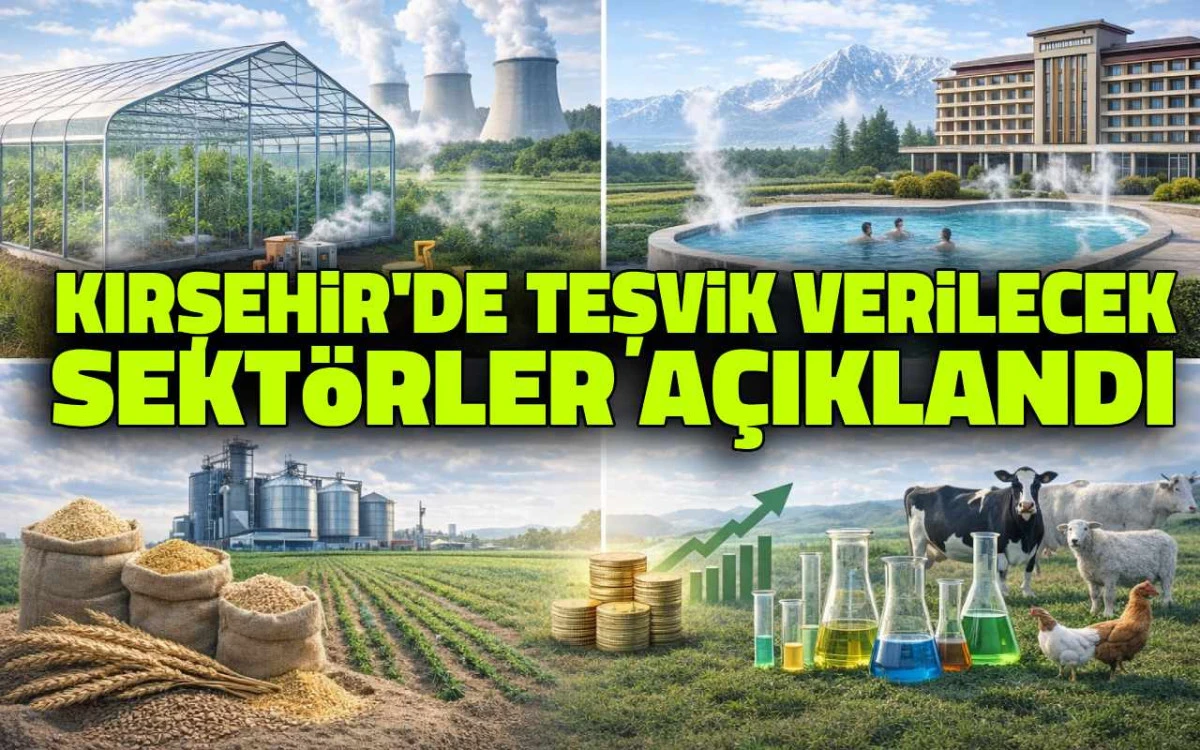 Kırşehir'de teşvik verilecek sekt&ouml;rler a&ccedil;ıklandı