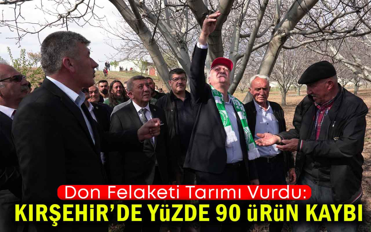 Kırşehir'de yüzde 90 ürün kaybı