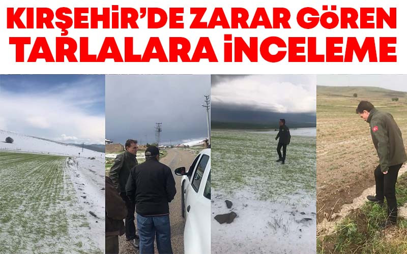 Kırşehir'de Zarar Gören Tarım Alanlarına İnceleme