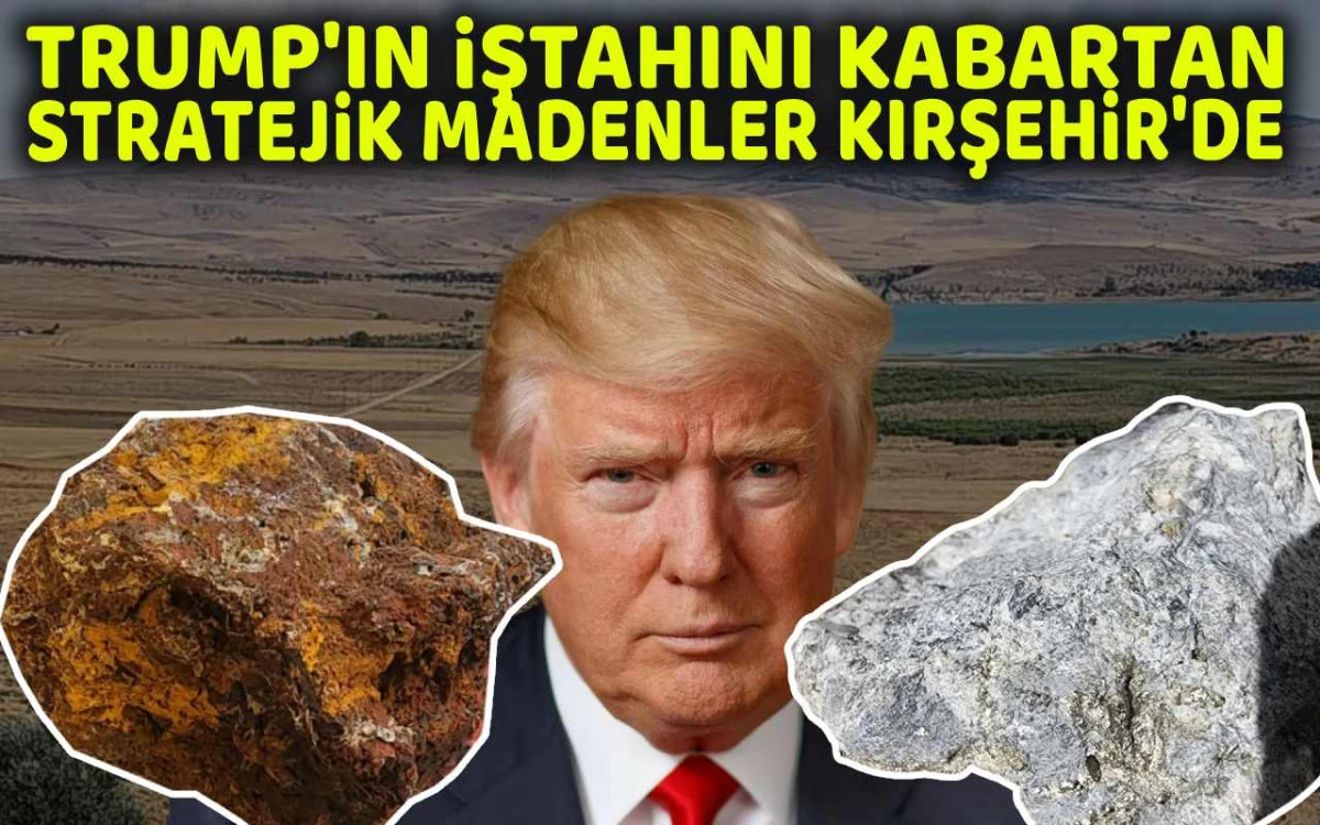 Kırşehir'deki nadir toprak elementleri için devlet tekeli çağrısı