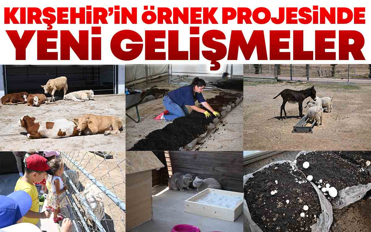 Kırşehir'in Örnek Projesinde Yeni Gelişmeler
