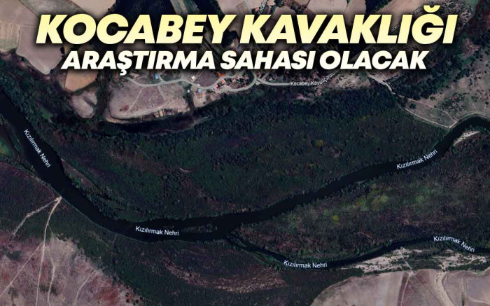 Kocabey Kavaklığı Araştırma Sahası Olacak