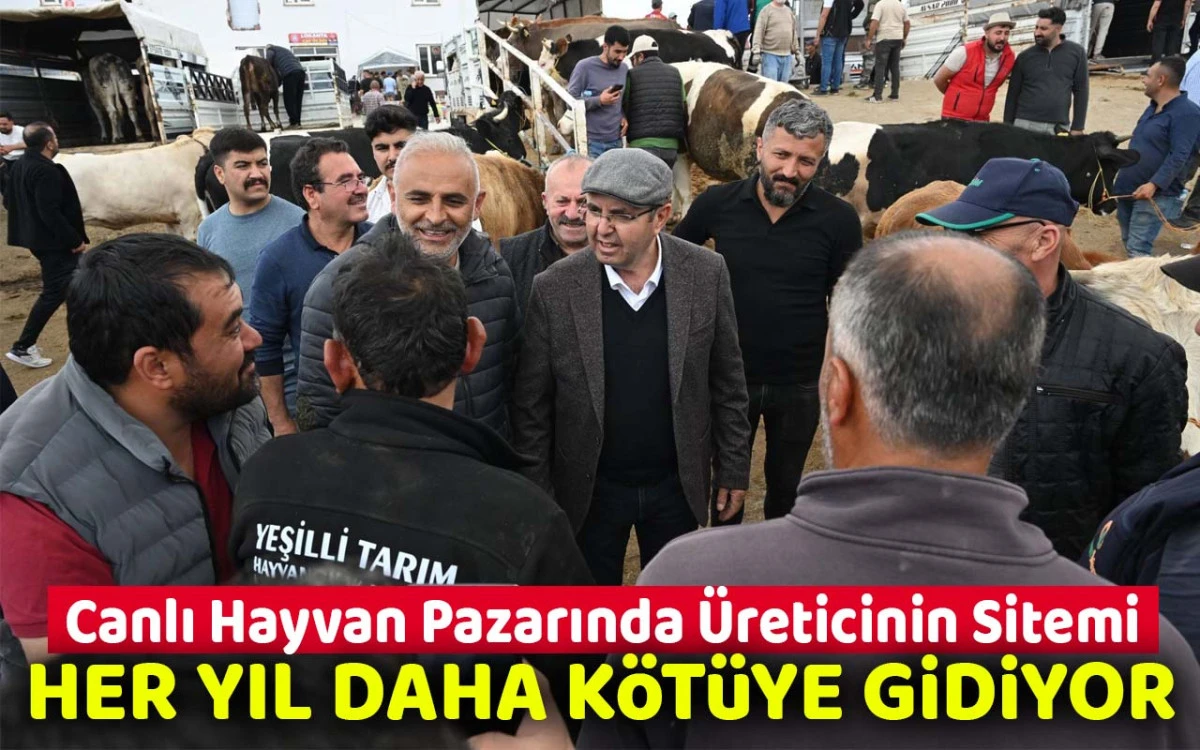 Hayvan Pazarı&rsquo;nda &Uuml;reticinin Sitemi: &ldquo;Her Yıl Daha K&ouml;t&uuml;ye Gidiyor&rdquo;