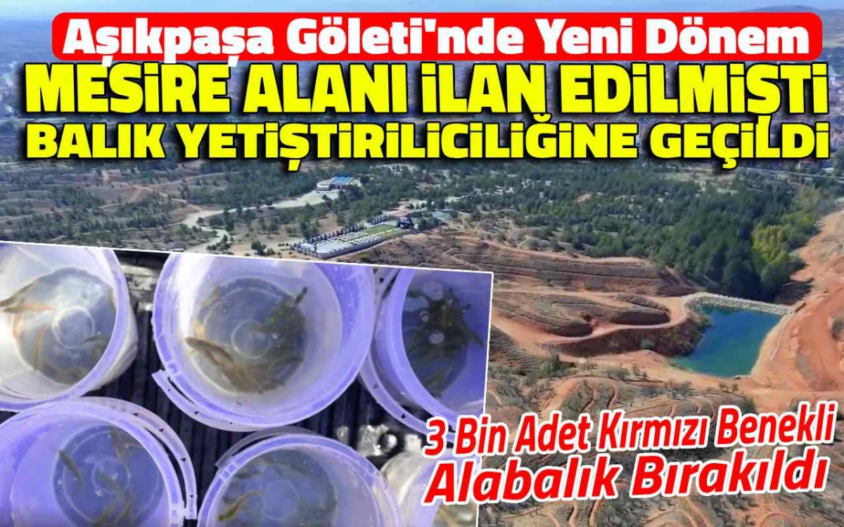 Mesire alanı olarak açılmıştı, şimdi balık üretim merkezi oldu