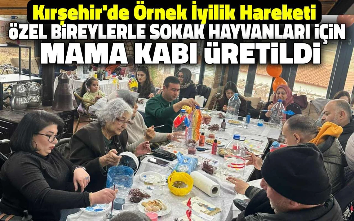 &Ouml;zel bireylerle sokak hayvanları i&ccedil;in mama kabı &uuml;retildi