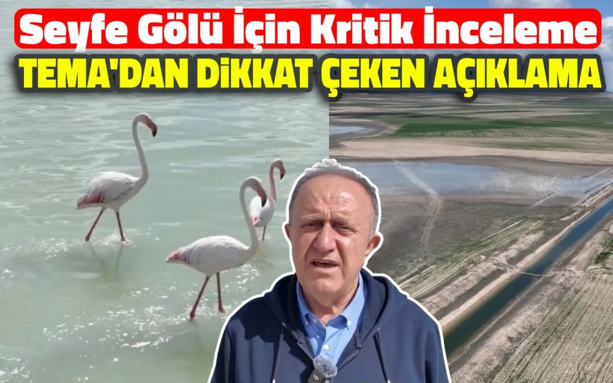 Seyfe G&ouml;l&uuml; i&ccedil;in kritik inceleme: TEMA&rsquo;dan dikkat &ccedil;eken a&ccedil;ıklama