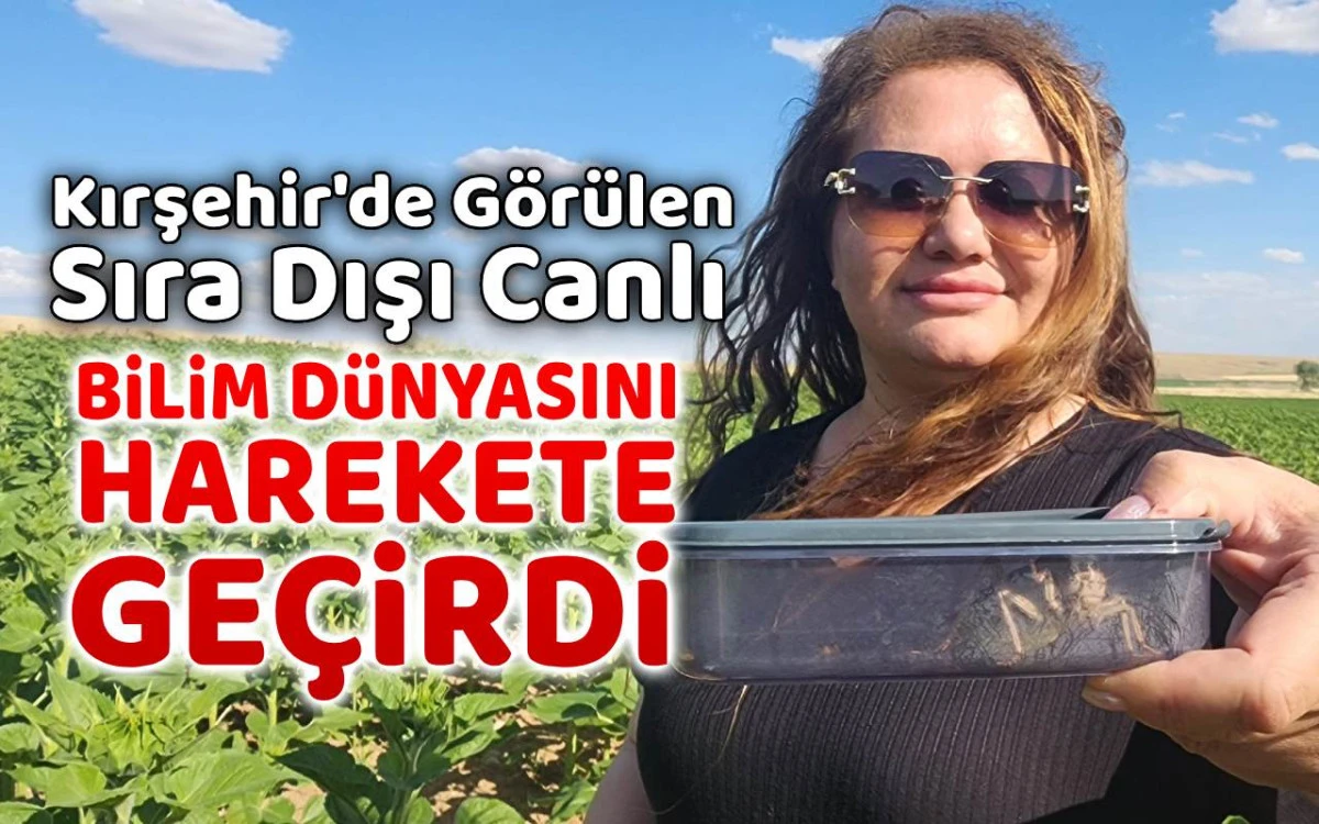 Sıra dışı canlı bilim dünyasını harekete geçirdi