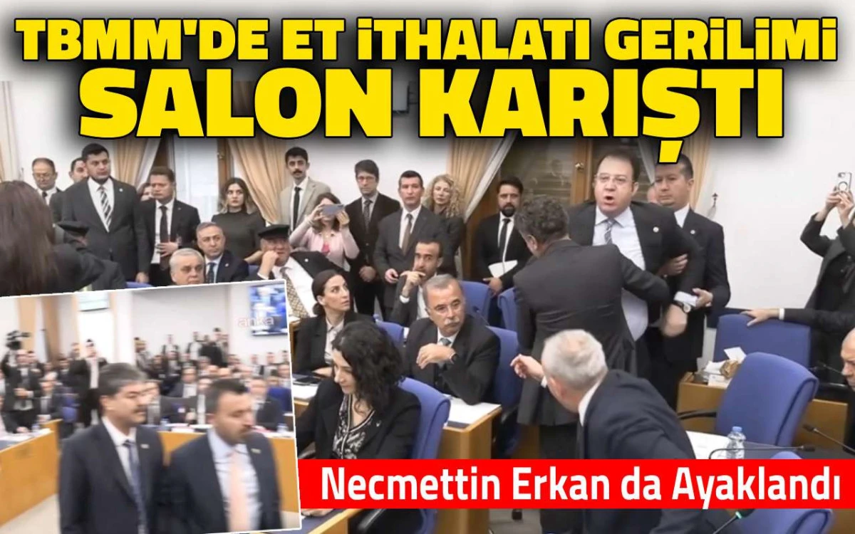 TBMM'de et ithalatı gerilimi: salon karıştı