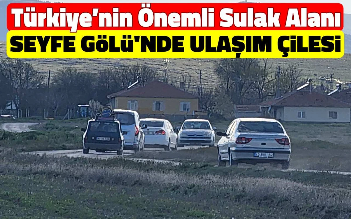 T&uuml;rkiye&rsquo;nin &ouml;nemli sulak alanı Seyfe G&ouml;l&uuml;&rsquo;nde ulaşım &ccedil;ilesi