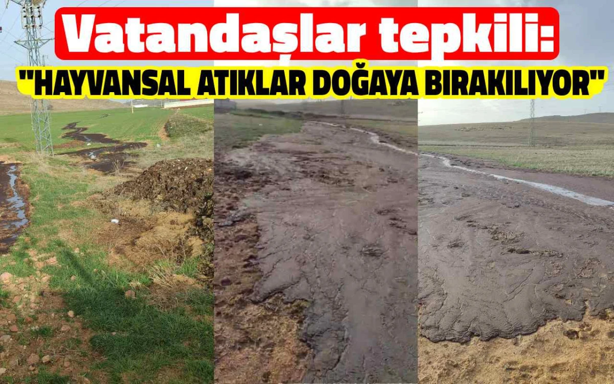 Vatandaşlar tepkili: ''Hayvansal atıklar doğaya bırakılıyor''
