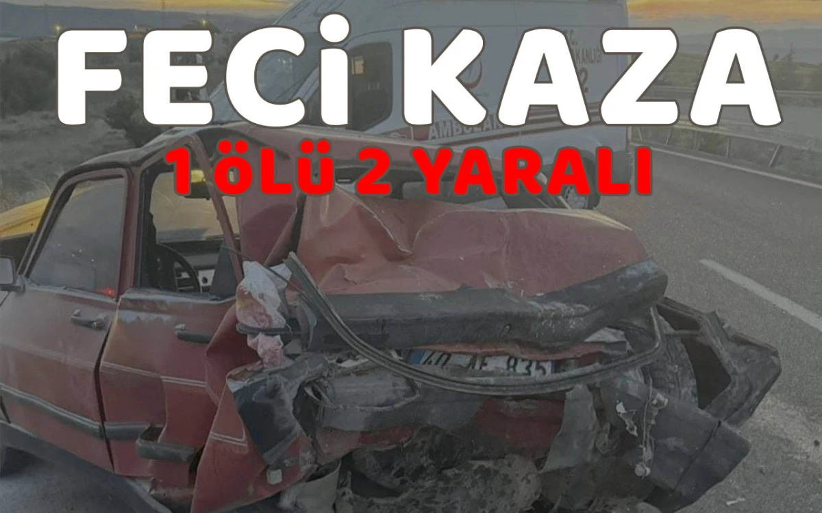Yaralı olarak kaldırıldığı hastanede kurtarılamadı
