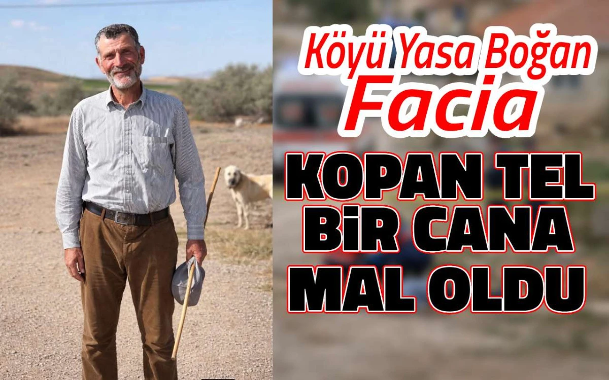 Yasa boğa facia: Kopan tel bir cana mal oldu