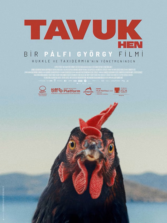 Tavuk